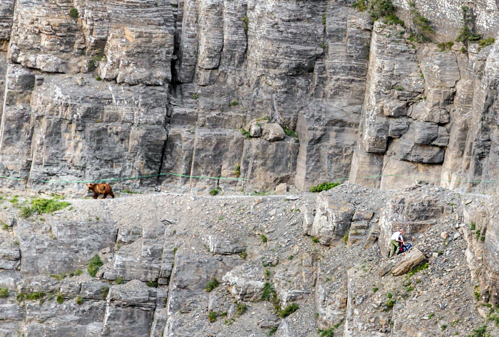 Hiking or horse packing in bear country